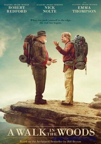 Прогулка по лесам