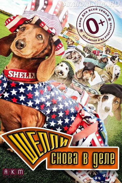 Шелли снова в деле