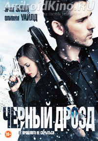 Черный дрозд