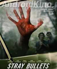 Шальные пули