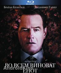 Во всем виноват енот