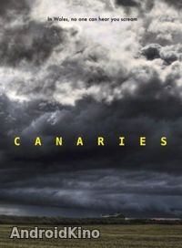 Канарейки