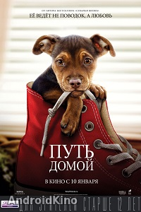 Путь домой