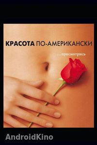 Красота по-американски