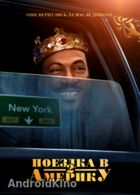 Поездка в Америку 2